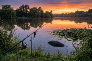 Hooked on Sandhurst: The Ultimate Guide to Carp Fishing in the Heart of Berkshire